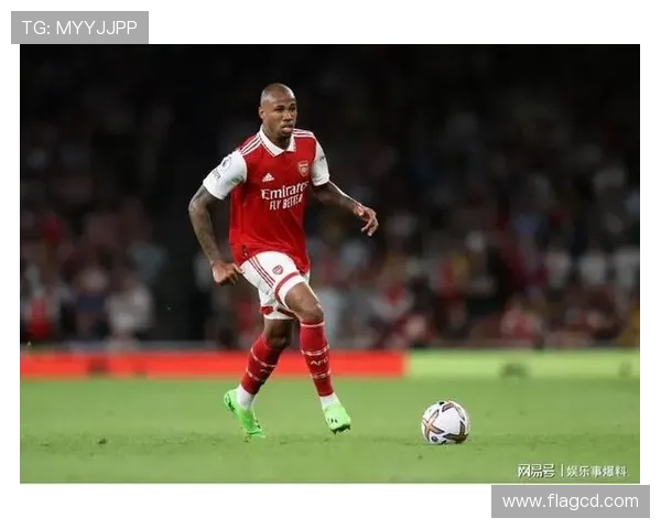 费迪南德赞曼联球星暗讽阿森纳弱点