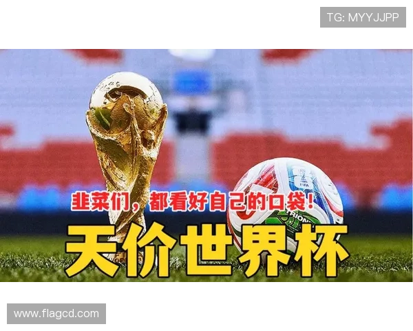 中央广播电视总台世界杯版权耗资六千万